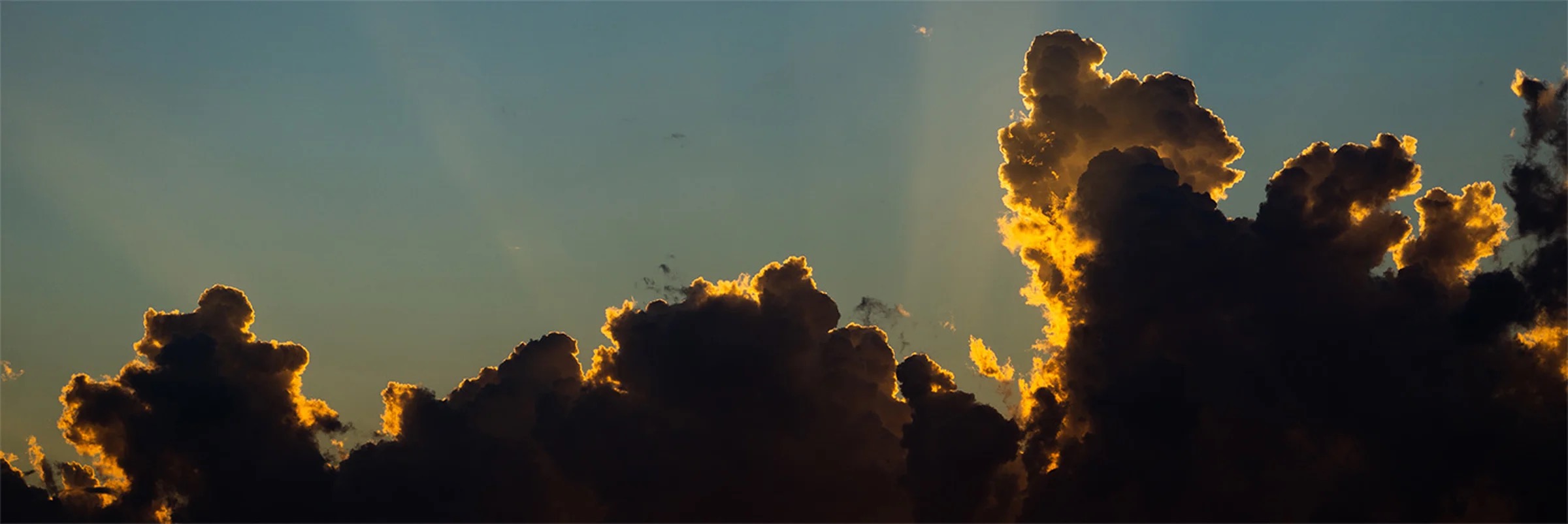 Schedule Tranquility banner