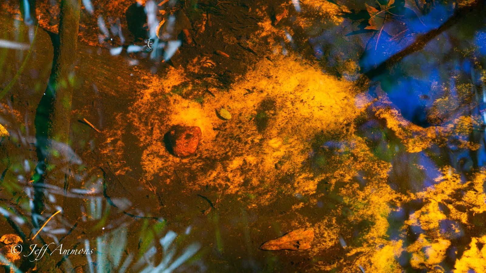 Crystal Clear Water with Red Tint from Tanin