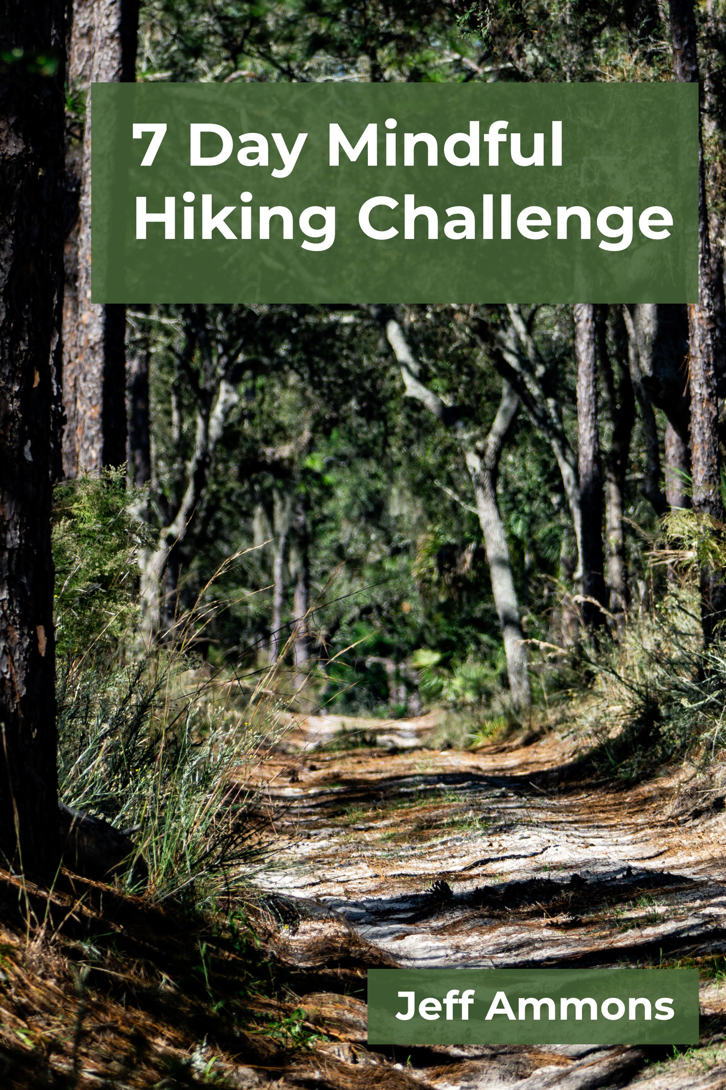 Book cover showing a pine trail beneath sunrise clouds titled "Seven Day Mindful Hiking Challenge" by Jeff Ammons.