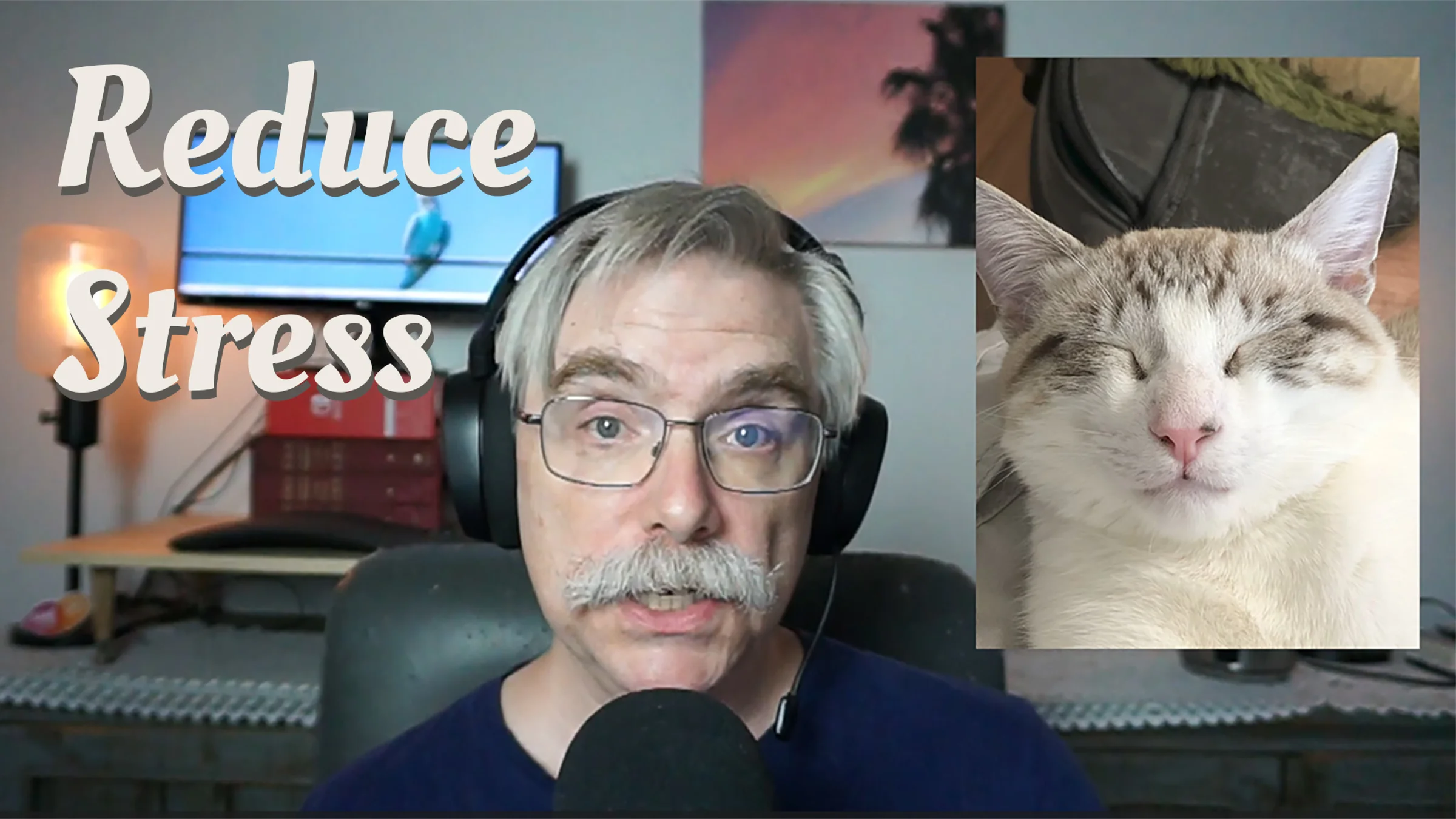 Jeff smiles at the camera while a cream-colored Siamese cat lounges beside a stress conversation graphic.